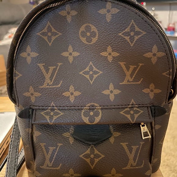 Louis Vuitton Palm Springs Mini - Picture 1 of 13